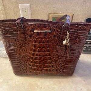 Brahmin medium Asher